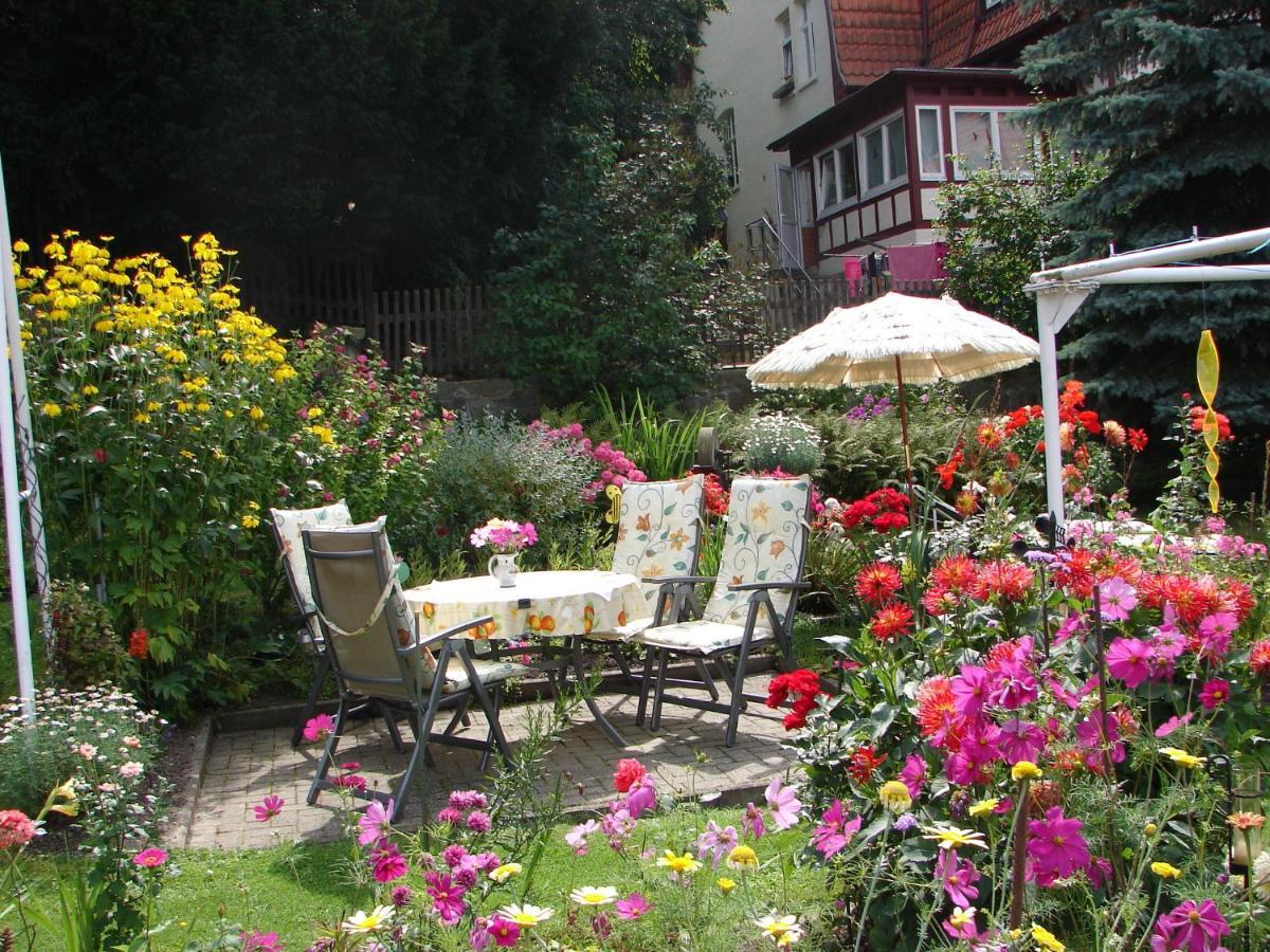 Apartament Abendroete Wernigerode Zewnętrze zdjęcie
