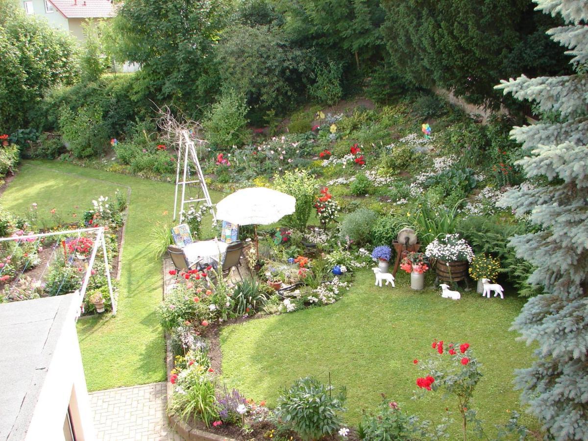 Apartament Abendroete Wernigerode Zewnętrze zdjęcie